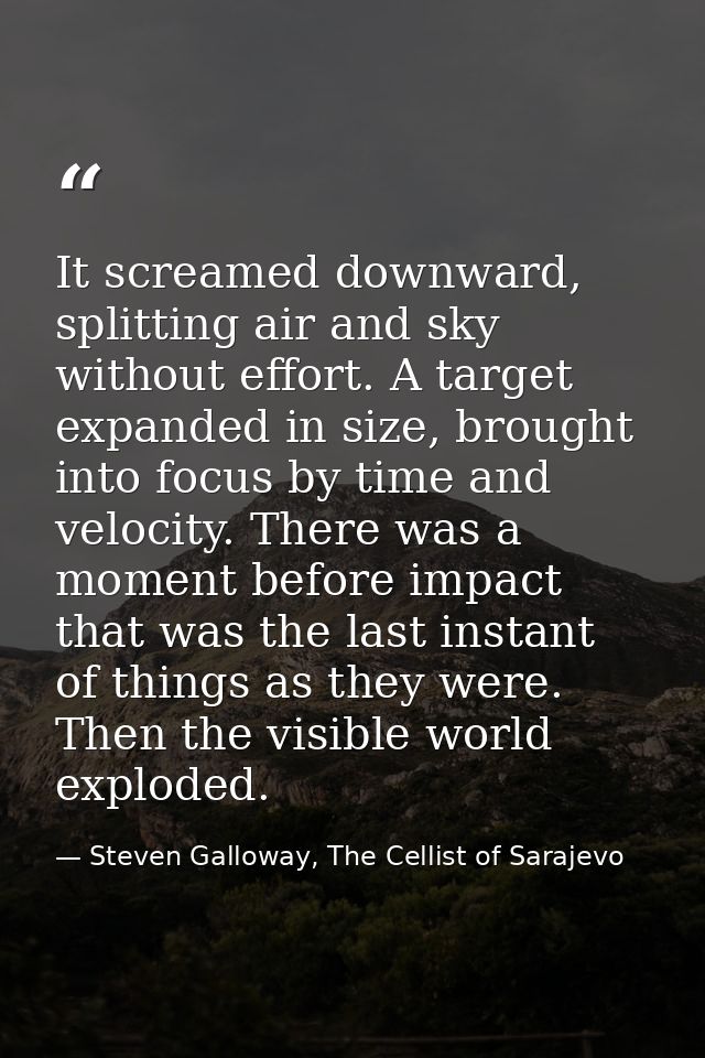It screamed downward, splitting air and sky without effort. A target expanded in size, brought into focus by time and ve — Steven Galloway, The Cellist of Sarajevo