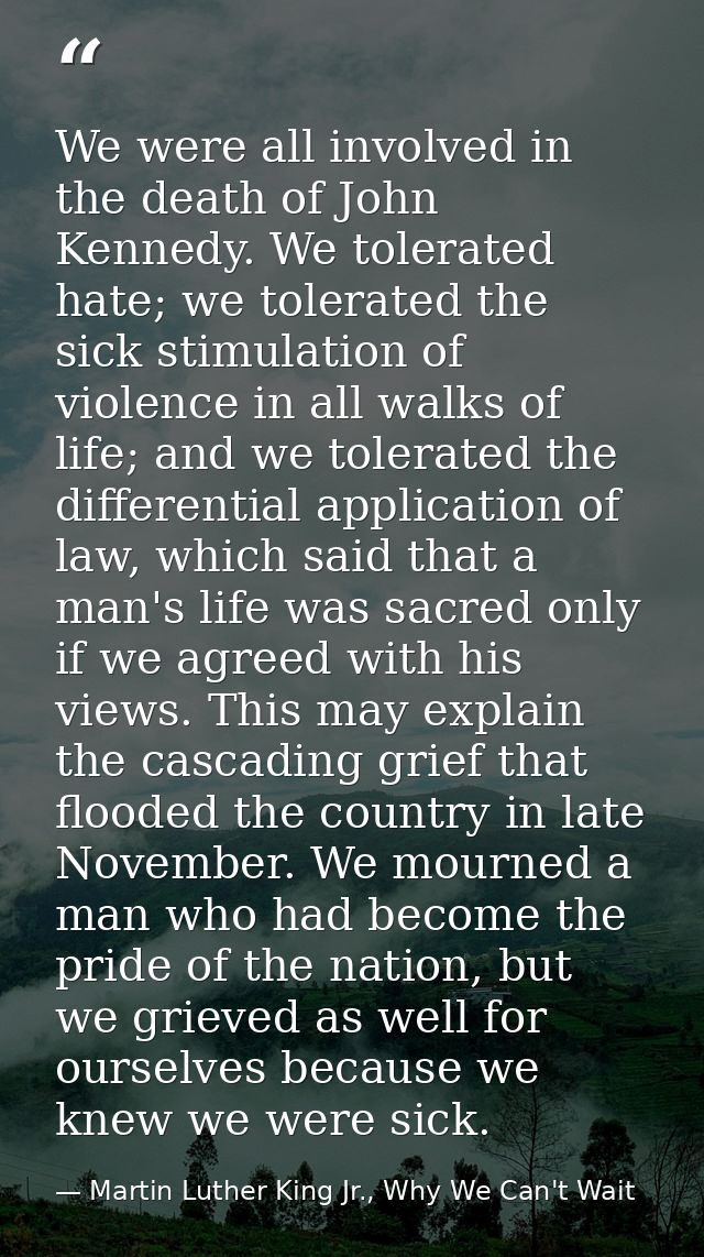 We were all involved in the death of John Kennedy. We tolerated hate; we tolerated the sick stimulation of violence in a — Martin Luther King Jr., Why We Can't Wait