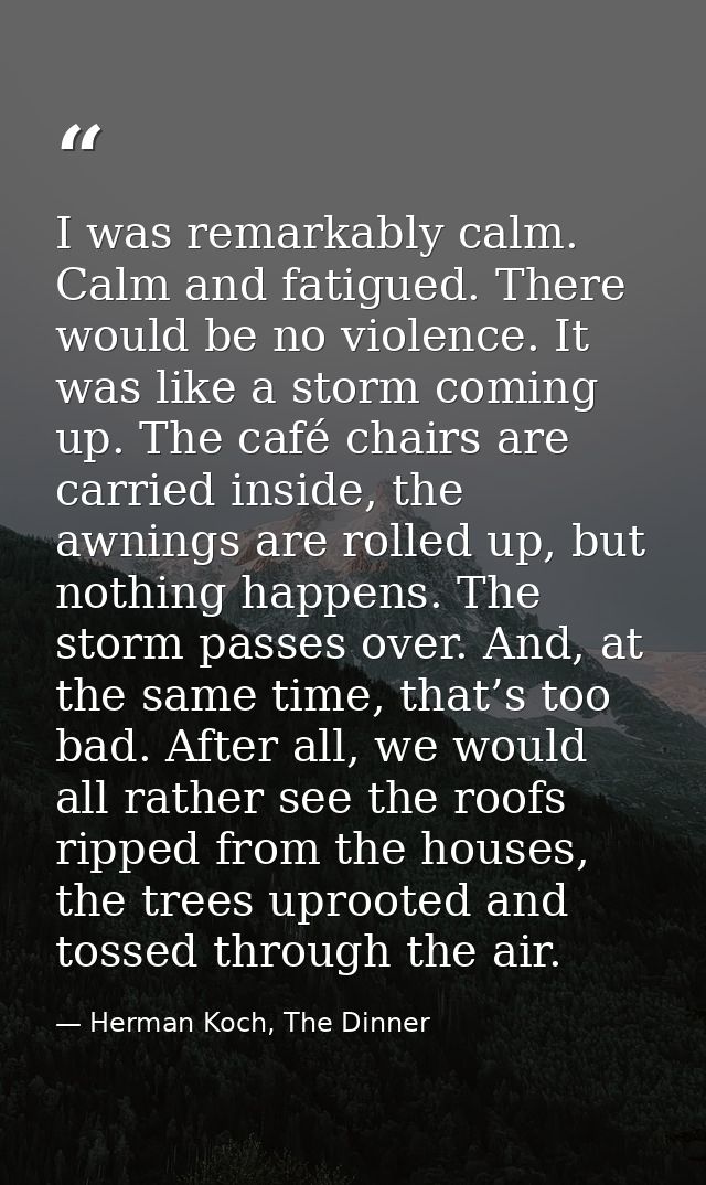 I was remarkably calm. Calm and fatigued. There would be no violence. It was like a storm coming up. The café chairs are — Herman Koch, The Dinner