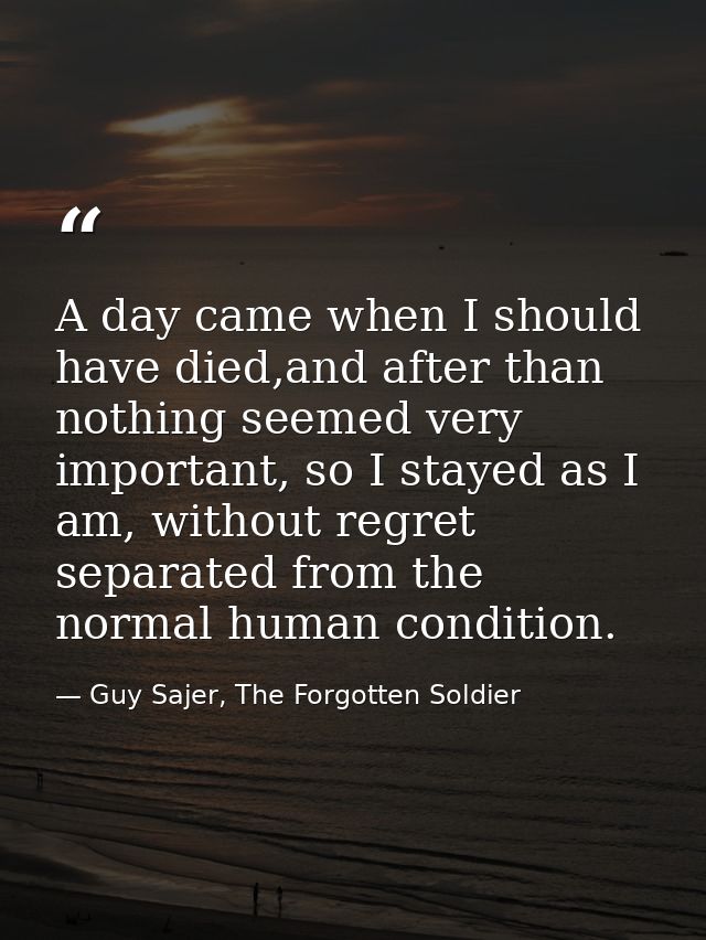 A day came when I should have died,and after than nothing seemed very important, so I stayed as I am, without regret sep — Guy Sajer, The Forgotten Soldier