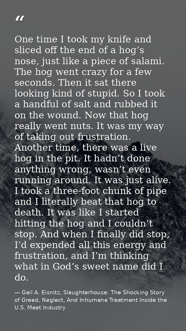One time I took my knife and sliced off the end of a hog’s nose, just like a piece of salami. The hog went crazy for a f — Gail A. Eisnitz, Slaughterhouse: The Shocking Story of Greed, Neglect, And Inhumane Treatment Inside the U.S. Meat Industry