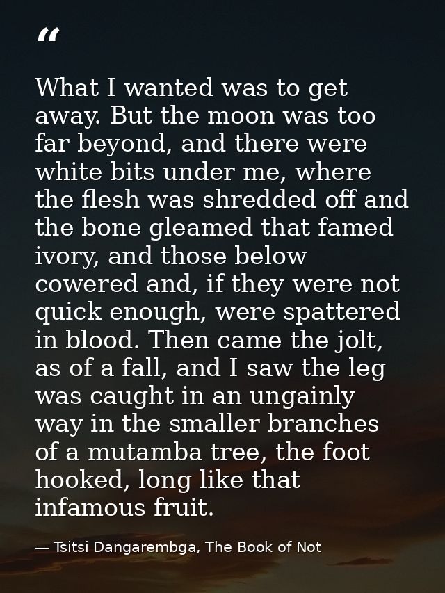 What I wanted was to get away. But the moon was too far beyond, and there were white bits under me, where the flesh was  — Tsitsi Dangarembga, The Book of Not