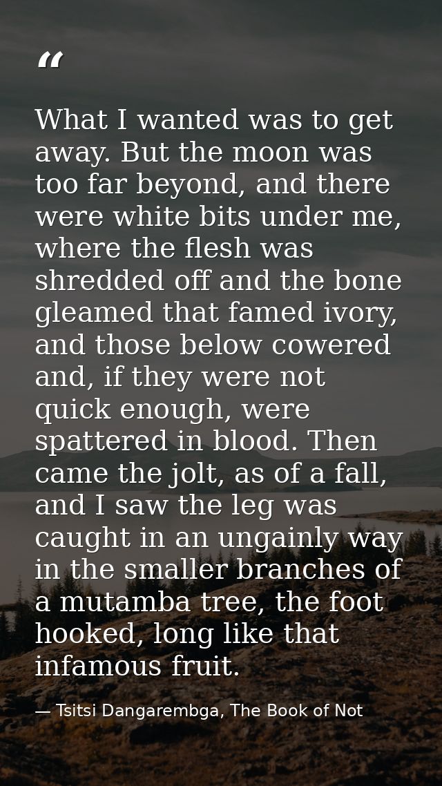 What I wanted was to get away. But the moon was too far beyond, and there were white bits under me, where the flesh was  — Tsitsi Dangarembga, The Book of Not