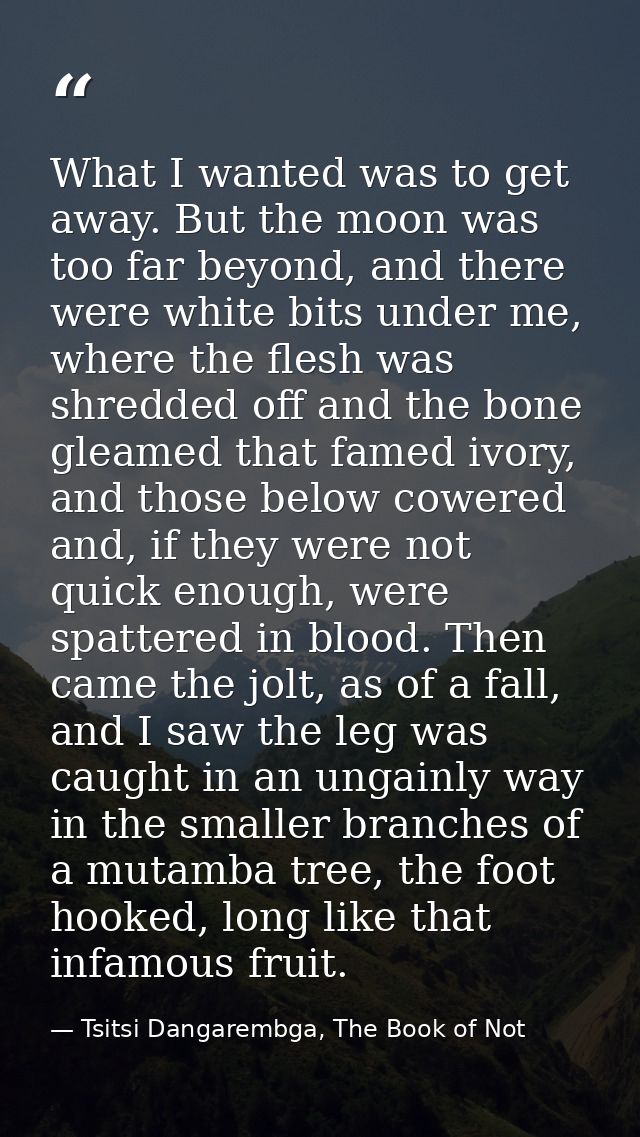 What I wanted was to get away. But the moon was too far beyond, and there were white bits under me, where the flesh was  — Tsitsi Dangarembga, The Book of Not