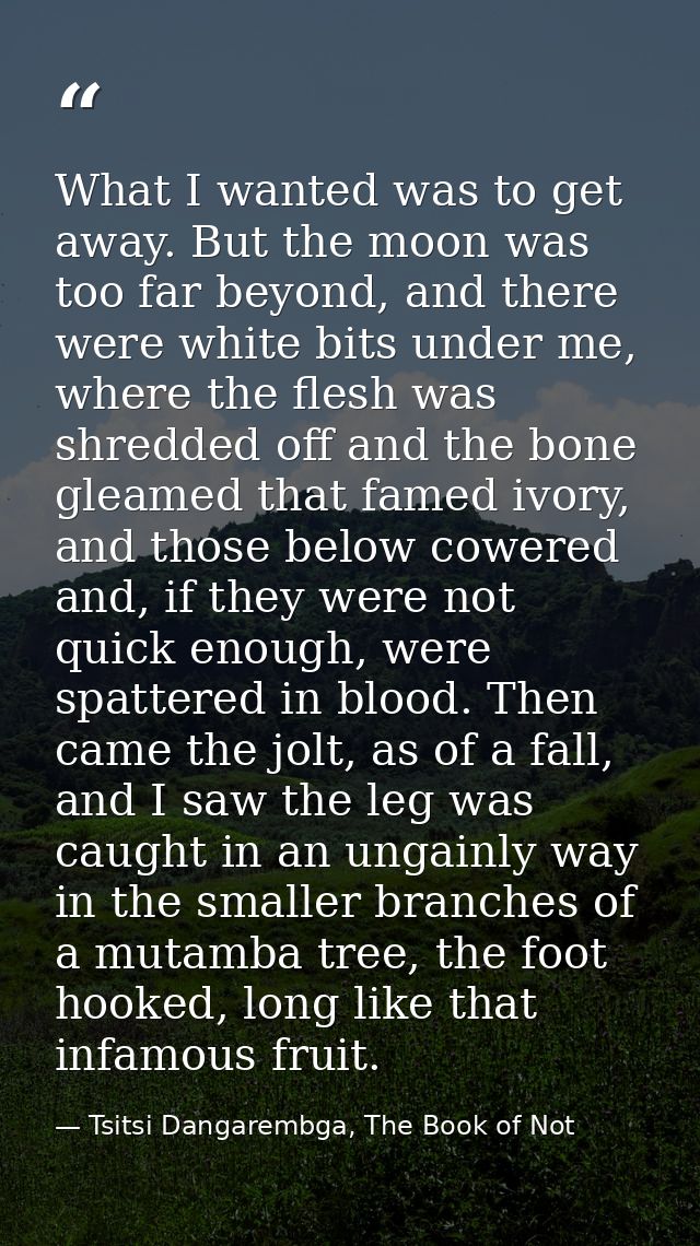 What I wanted was to get away. But the moon was too far beyond, and there were white bits under me, where the flesh was  — Tsitsi Dangarembga, The Book of Not