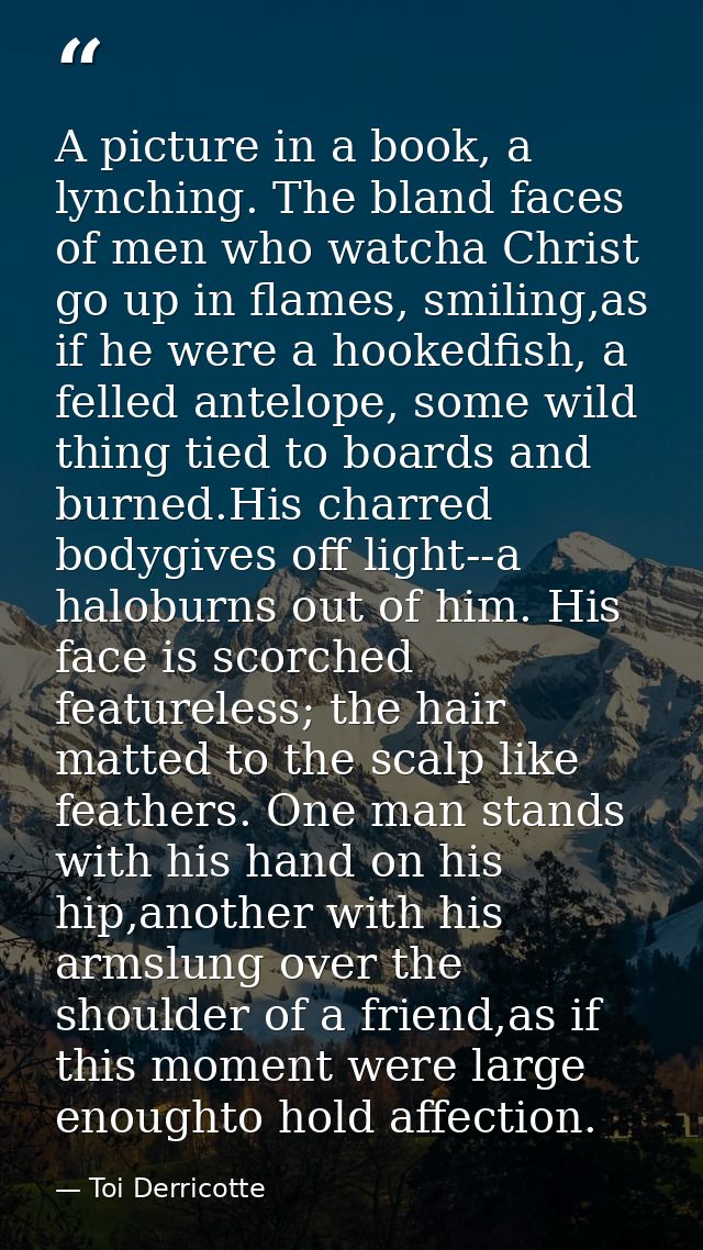 A picture in a book, a lynching. The bland faces of men who watcha Christ go up in flames, smiling,as if he were a hooke — Toi Derricotte