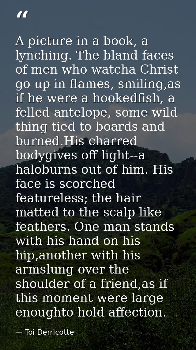 A picture in a book, a lynching. The bland faces of men who watcha Christ go up in flames, smiling,as if he were a hooke — Toi Derricotte