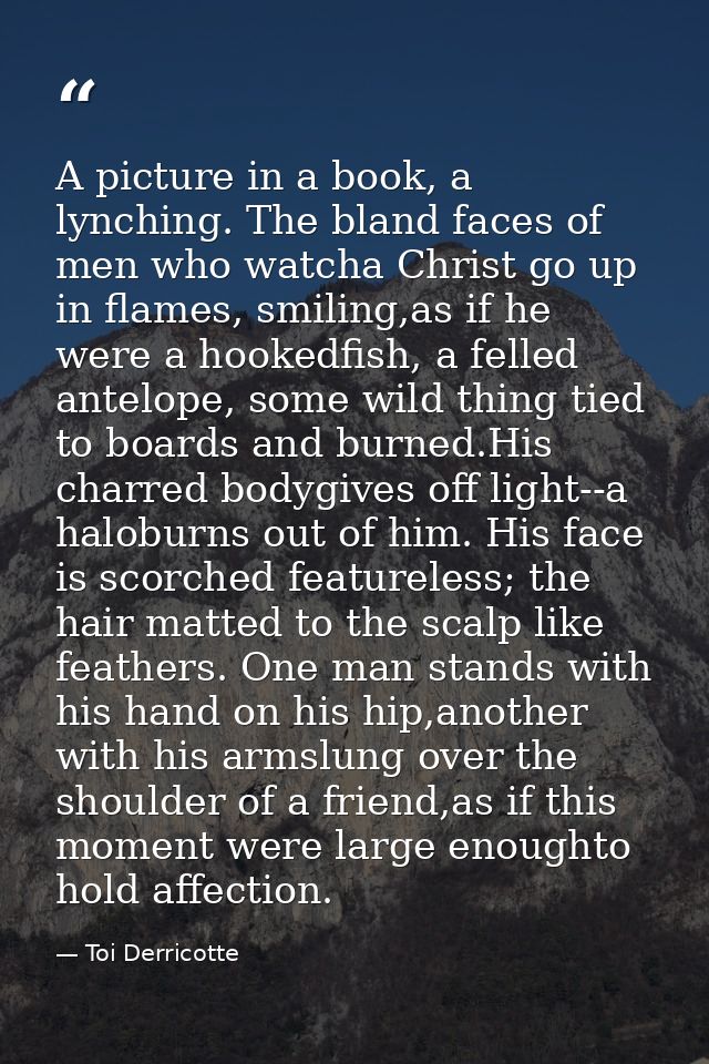 A picture in a book, a lynching. The bland faces of men who watcha Christ go up in flames, smiling,as if he were a hooke — Toi Derricotte