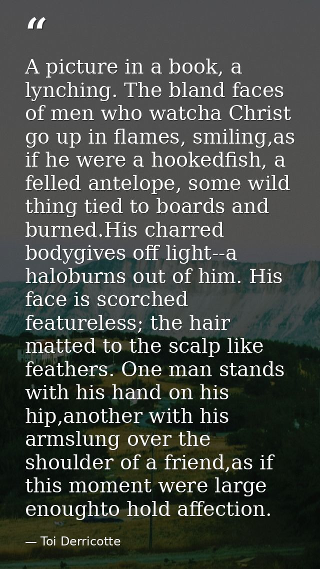 A picture in a book, a lynching. The bland faces of men who watcha Christ go up in flames, smiling,as if he were a hooke — Toi Derricotte