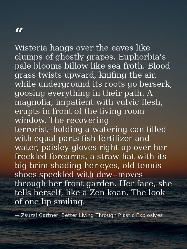 Wisteria hangs over the eaves like clumps of ghostly grapes. Euphorbia's pale blooms billow like sea froth. Blood grass  — Zsuzsi Gartner, Better Living Through Plastic Explosives