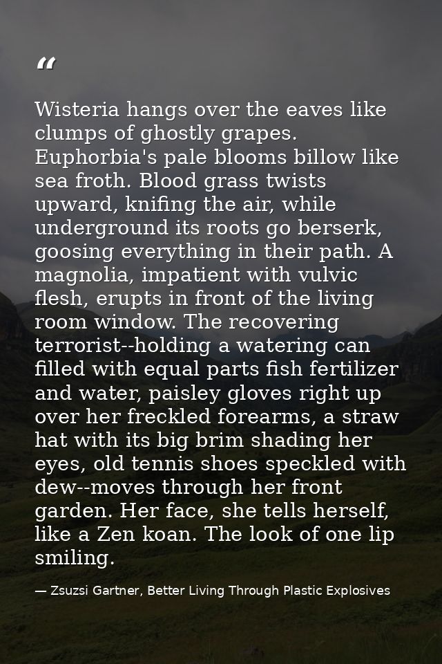Wisteria hangs over the eaves like clumps of ghostly grapes. Euphorbia's pale blooms billow like sea froth. Blood grass  — Zsuzsi Gartner, Better Living Through Plastic Explosives