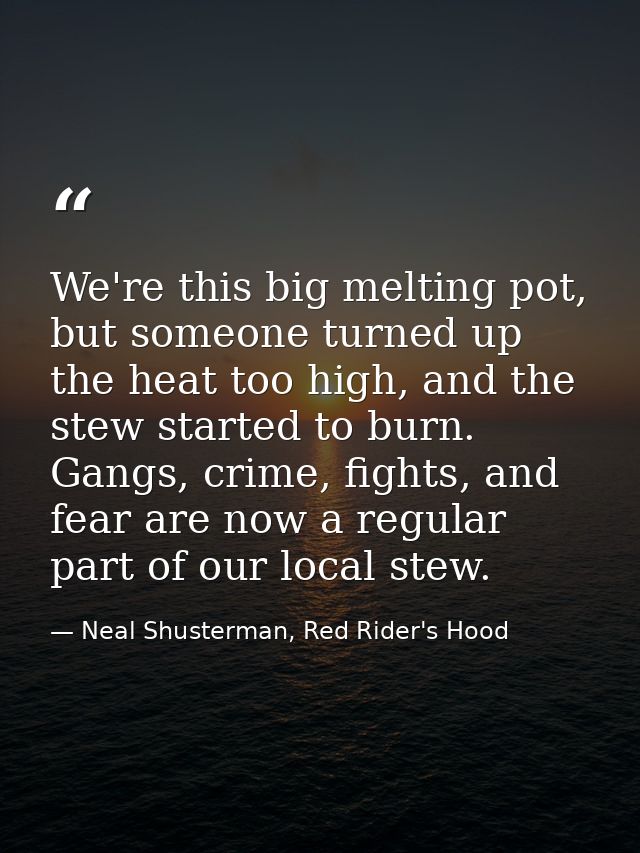 We're this big melting pot, but someone turned up the heat too high, and the stew started to burn. Gangs, crime, fights, — Neal Shusterman, Red Rider's Hood