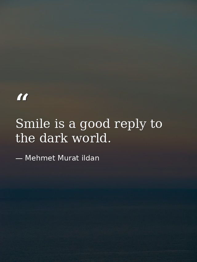 Smile is a good reply to the dark world. — Mehmet Murat ildan