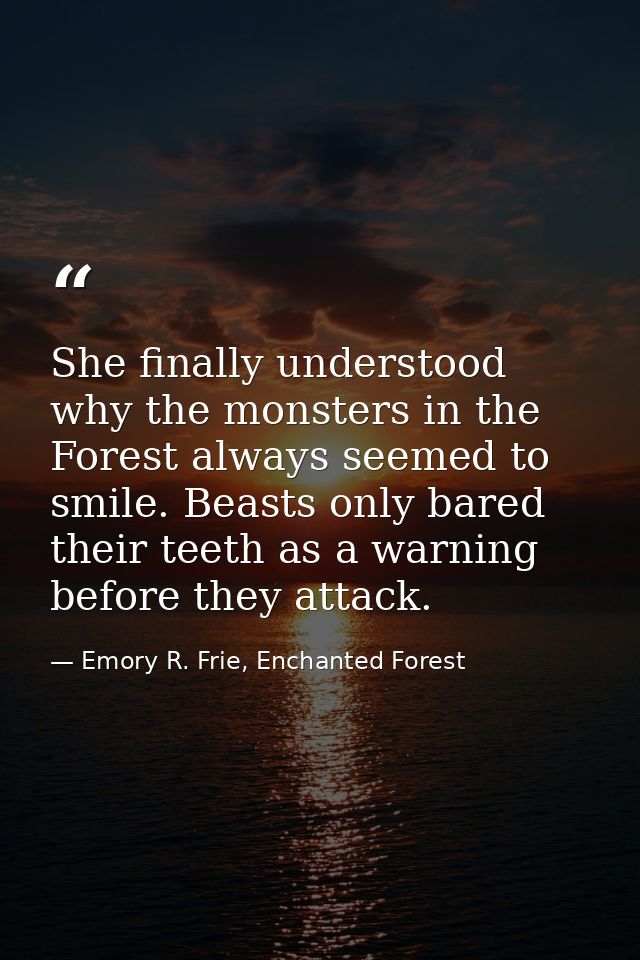 She finally understood why the monsters in the Forest always seemed to smile. Beasts only bared their teeth as a warning — Emory R. Frie, Enchanted Forest