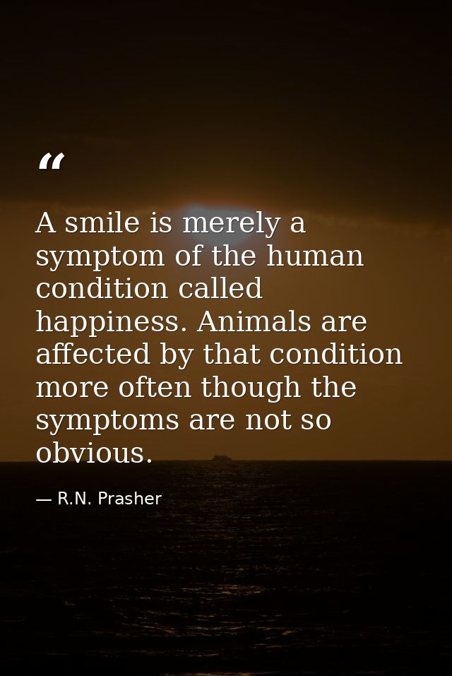 A smile is merely a symptom of the human condition called happiness. Animals are affected by that condition more often t — R.N. Prasher