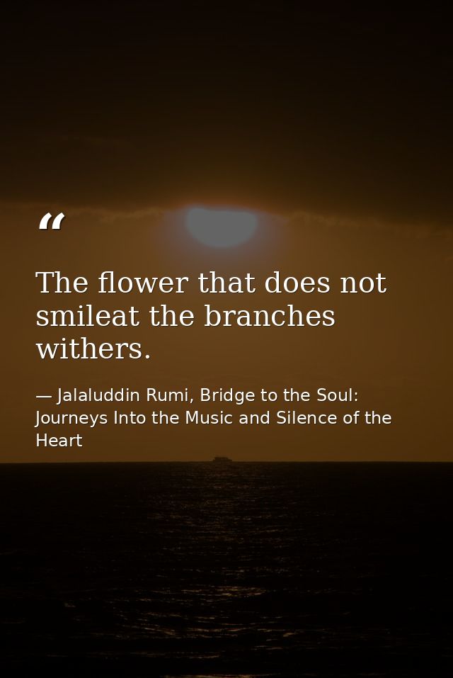 The flower that does not smileat the branches withers. — Jalaluddin Rumi, Bridge to the Soul: Journeys Into the Music and Silence of the Heart