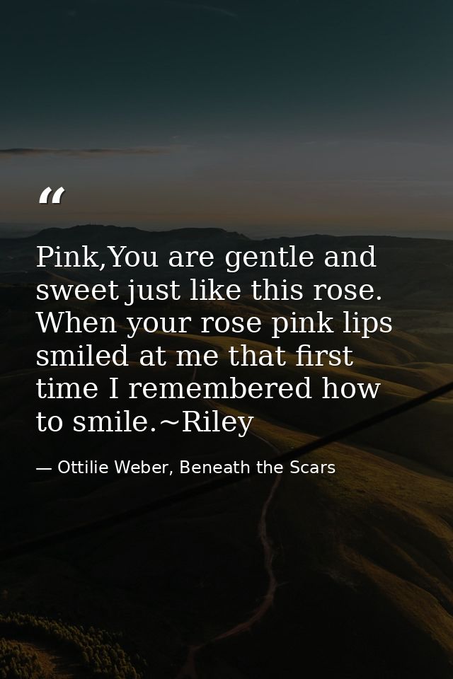 Pink,You are gentle and sweet just like this rose. When your rose pink lips smiled at me that first time I remembered ho — Ottilie Weber, Beneath the Scars