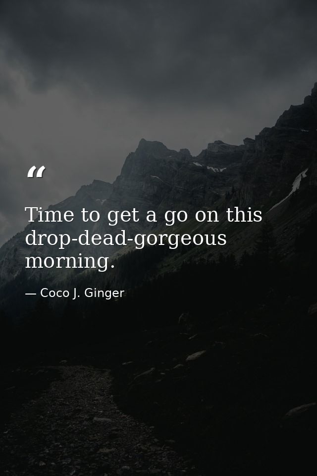 Time to get a go on this drop-dead-gorgeous morning. — Coco J. Ginger