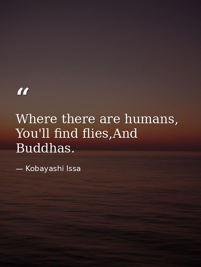 Where there are humans, You'll find flies,And Buddhas. — Kobayashi Issa