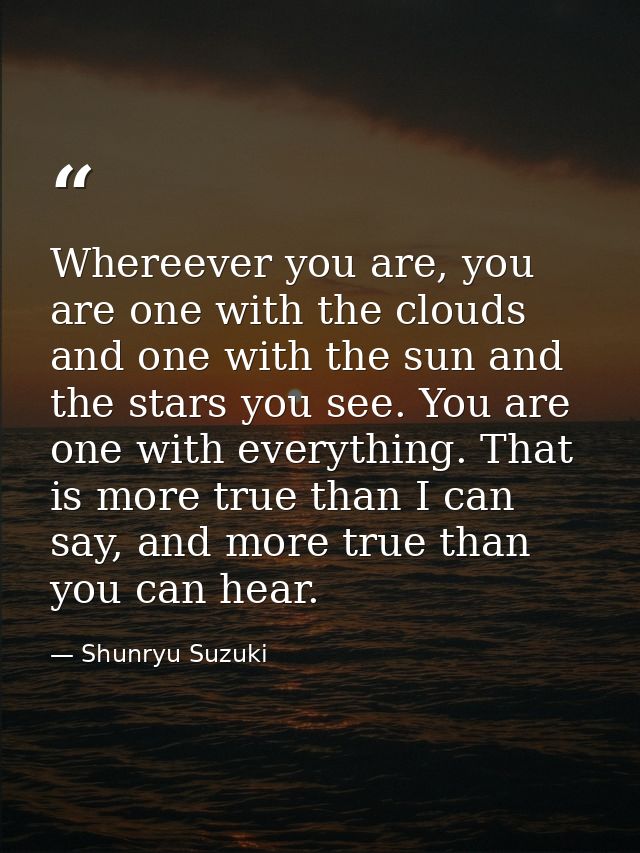 Whereever you are, you are one with the clouds and one with the sun and the stars you see. You are one with everything.  — Shunryu Suzuki