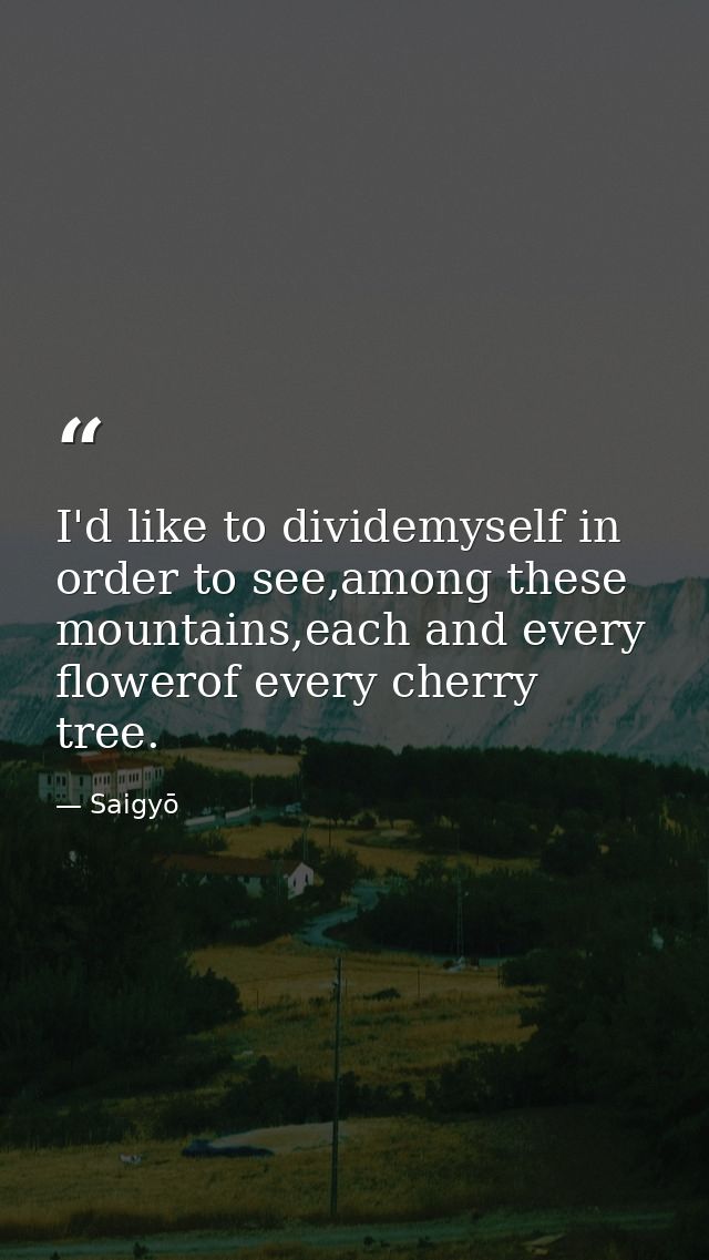 I'd like to dividemyself in order to see,among these mountains,each and every flowerof every cherry tree. — Saigyō