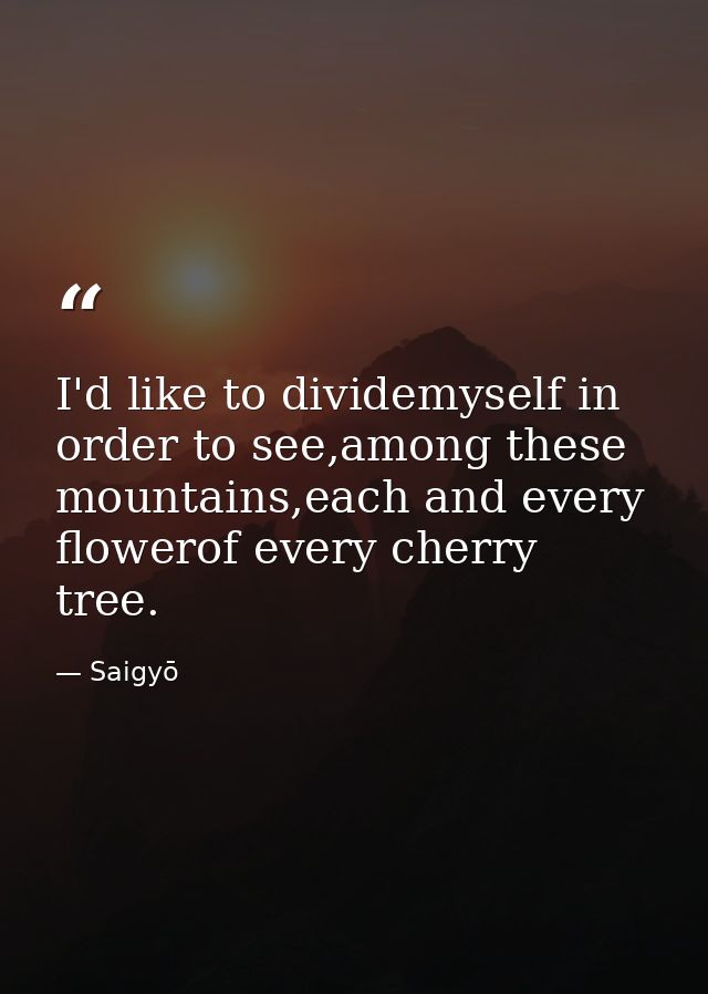 I'd like to dividemyself in order to see,among these mountains,each and every flowerof every cherry tree. — Saigyō