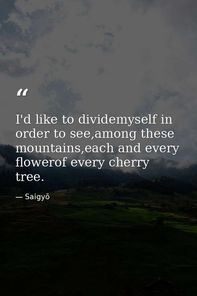 I'd like to dividemyself in order to see,among these mountains,each and every flowerof every cherry tree. — Saigyō