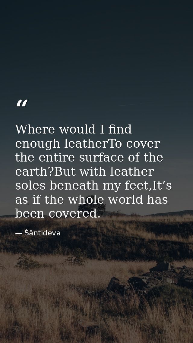 Where would I find enough leatherTo cover the entire surface of the earth?But with leather soles beneath my feet,It’s as — Śāntideva