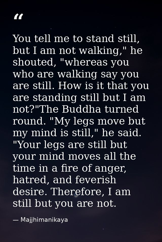 You tell me to stand still, but I am not walking," he shouted, "whereas you who are walking say you are still. How is it — Majjhimanikaya