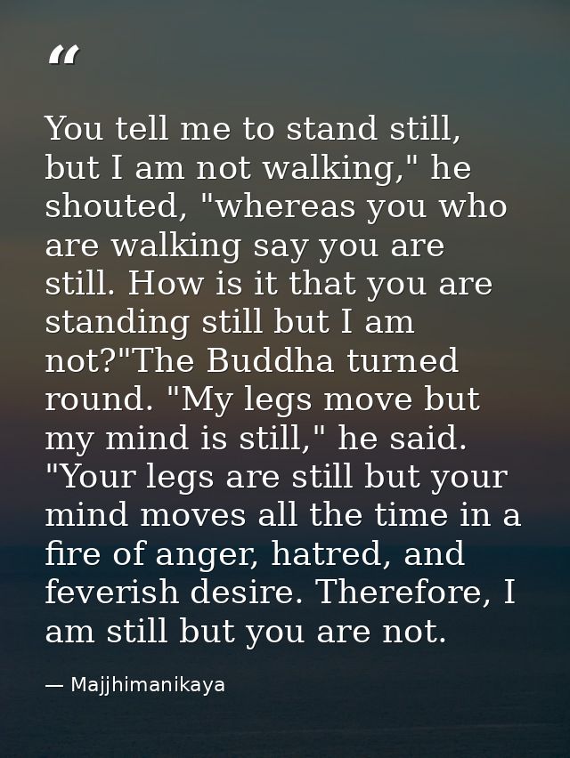 You tell me to stand still, but I am not walking," he shouted, "whereas you who are walking say you are still. How is it — Majjhimanikaya