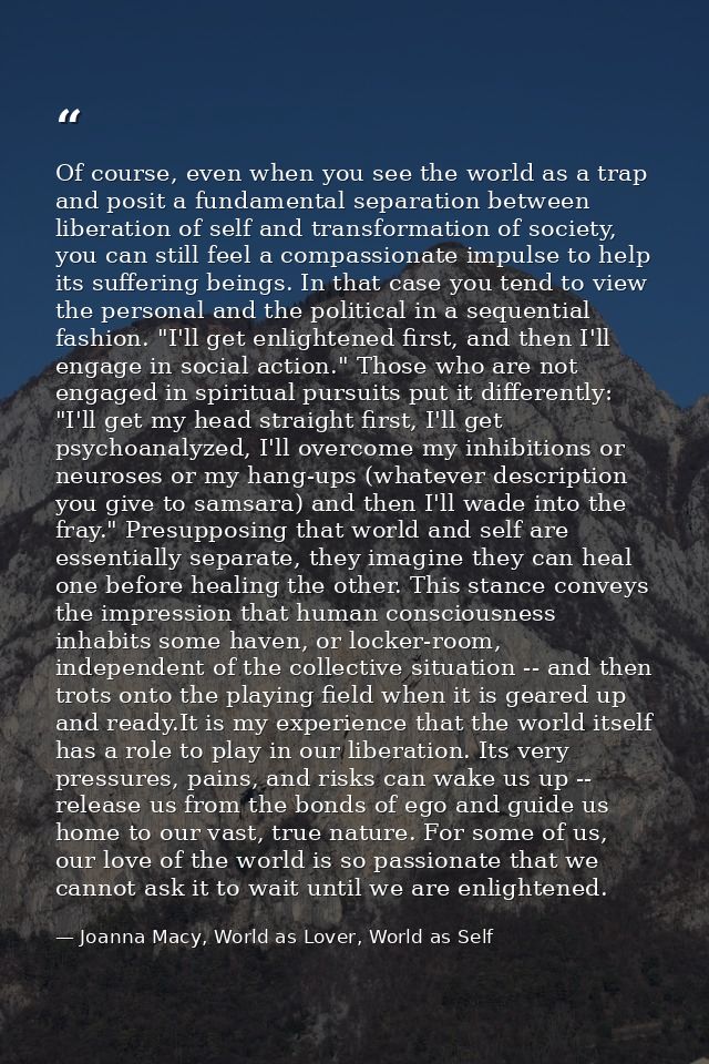 Of course, even when you see the world as a trap and posit a fundamental separation between liberation of self and trans — Joanna Macy, World as Lover, World as Self
