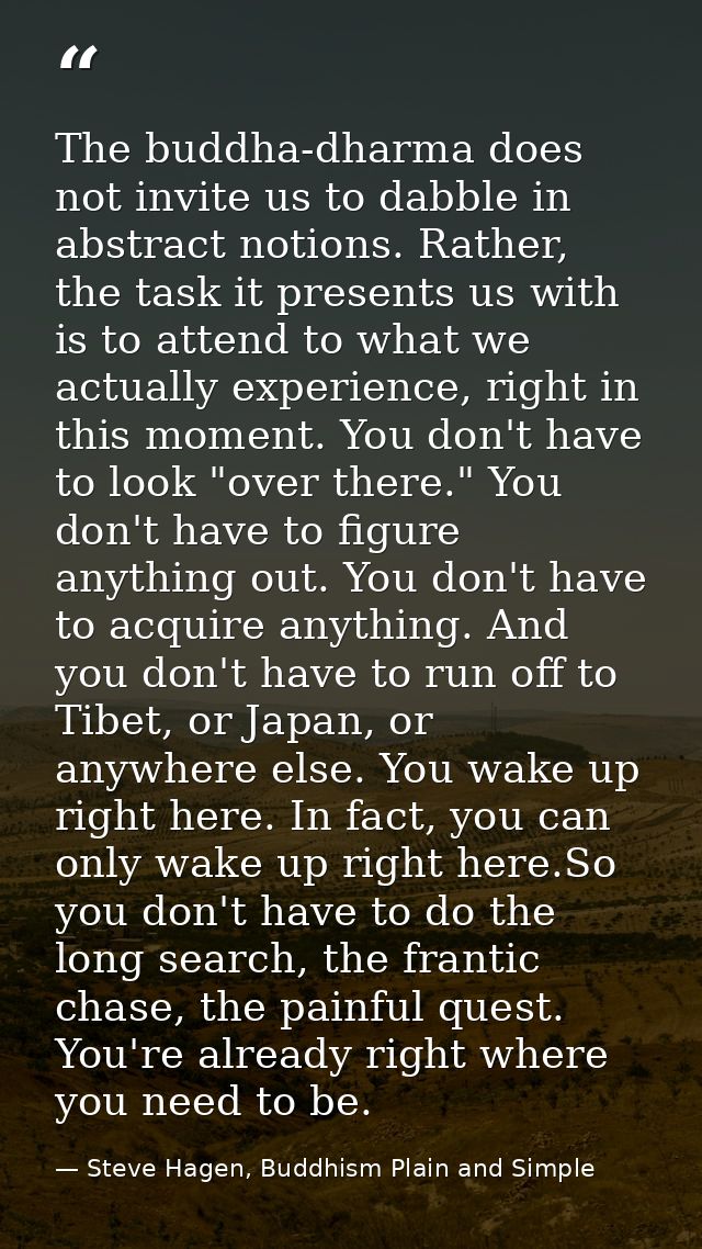The buddha-dharma does not invite us to dabble in abstract notions. Rather, the task it presents us with is to attend to — Steve Hagen, Buddhism Plain and Simple