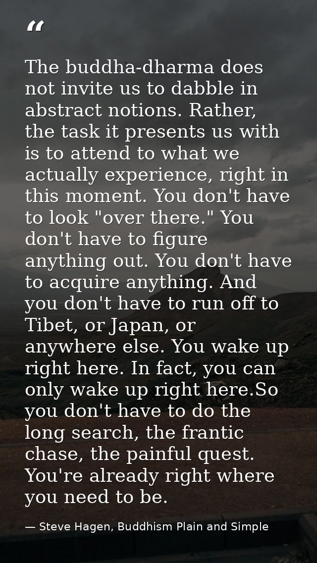 The buddha-dharma does not invite us to dabble in abstract notions. Rather, the task it presents us with is to attend to — Steve Hagen, Buddhism Plain and Simple
