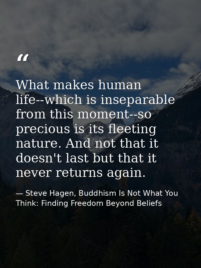 What makes human life--which is inseparable from this moment--so precious is its fleeting nature. And not that it doesn' — Steve Hagen, Buddhism Is Not What You Think: Finding Freedom Beyond Beliefs