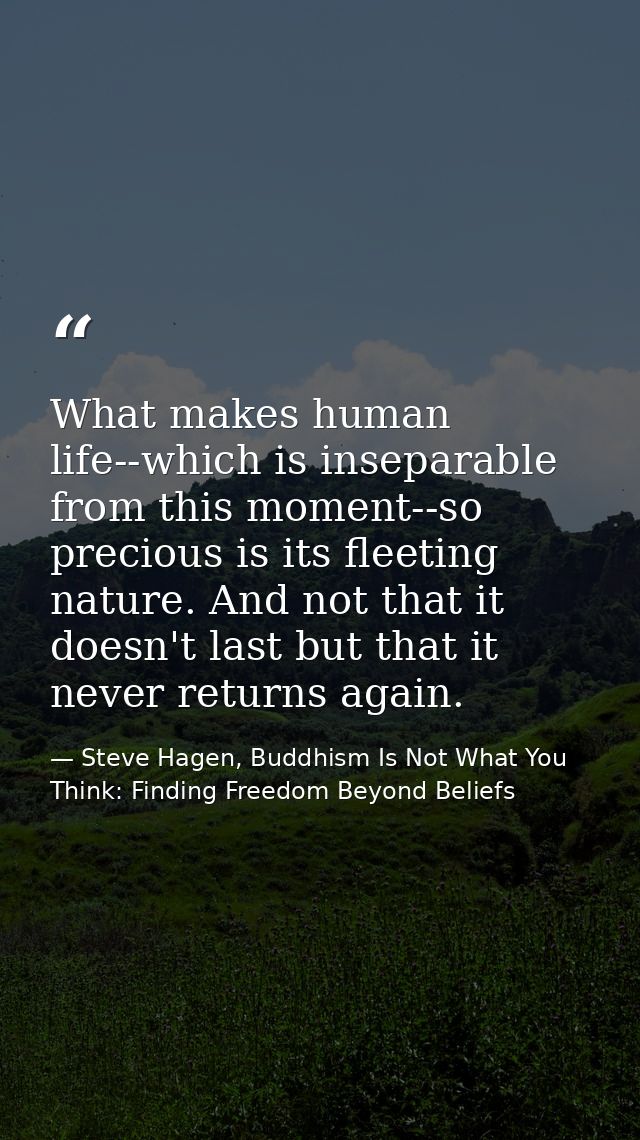 What makes human life--which is inseparable from this moment--so precious is its fleeting nature. And not that it doesn' — Steve Hagen, Buddhism Is Not What You Think: Finding Freedom Beyond Beliefs