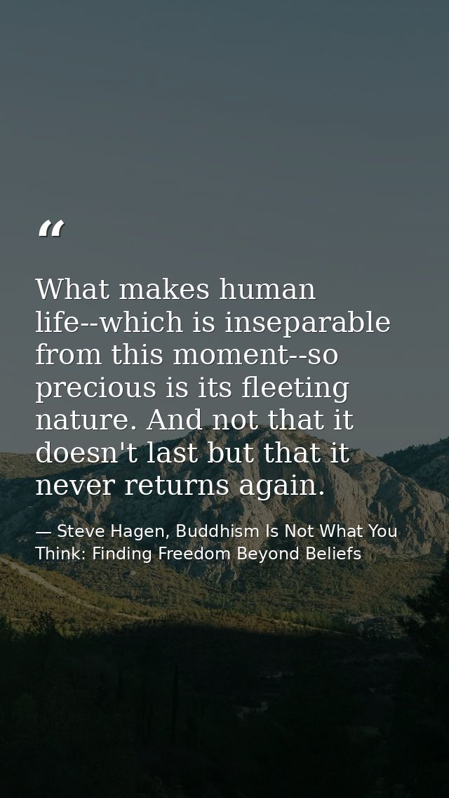 What makes human life--which is inseparable from this moment--so precious is its fleeting nature. And not that it doesn' — Steve Hagen, Buddhism Is Not What You Think: Finding Freedom Beyond Beliefs