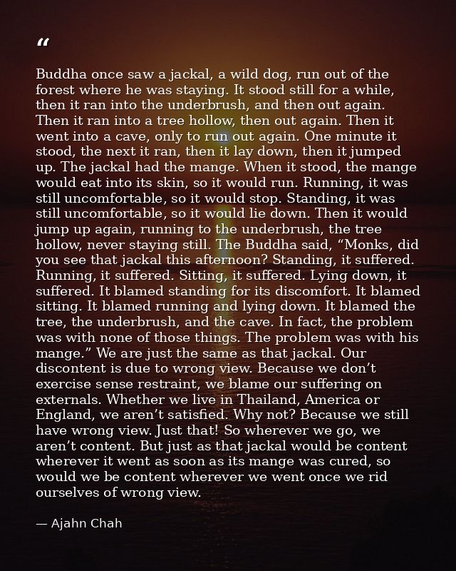 Buddha once saw a jackal, a wild dog, run out of the forest where he was staying. It stood still for a while, then it ra — Ajahn Chah