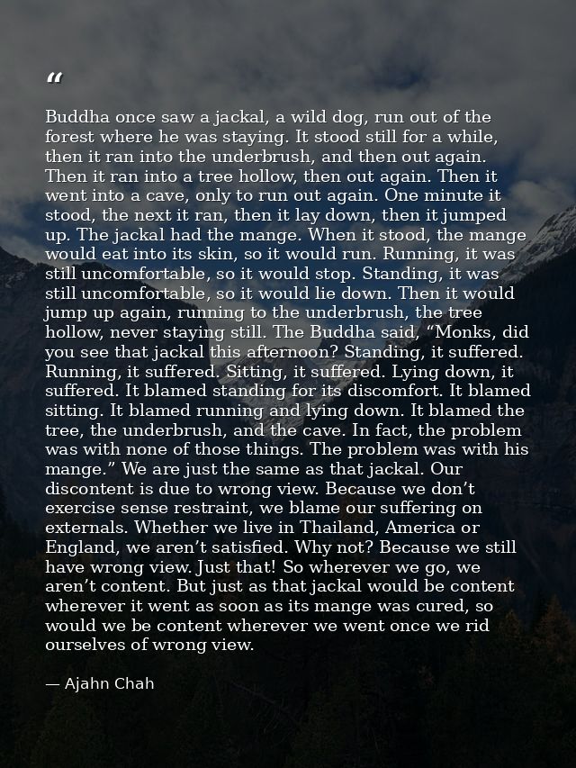 Buddha once saw a jackal, a wild dog, run out of the forest where he was staying. It stood still for a while, then it ra — Ajahn Chah