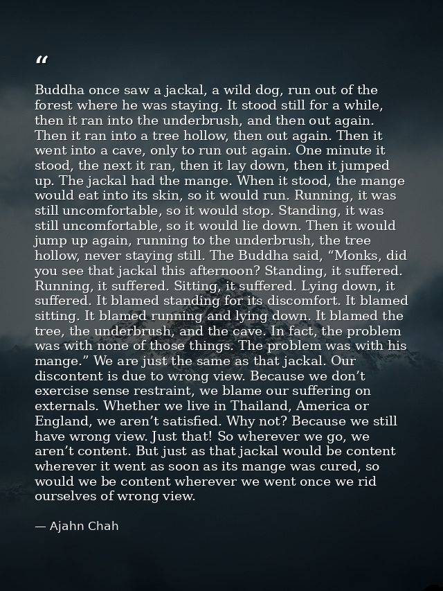 Buddha once saw a jackal, a wild dog, run out of the forest where he was staying. It stood still for a while, then it ra — Ajahn Chah