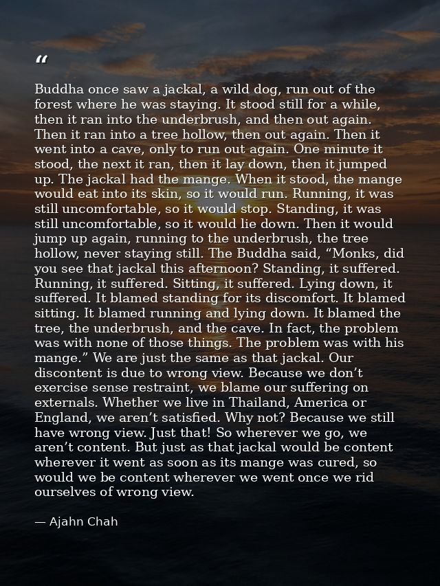 Buddha once saw a jackal, a wild dog, run out of the forest where he was staying. It stood still for a while, then it ra — Ajahn Chah