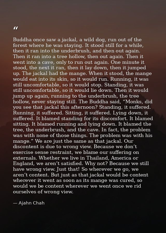 Buddha once saw a jackal, a wild dog, run out of the forest where he was staying. It stood still for a while, then it ra — Ajahn Chah