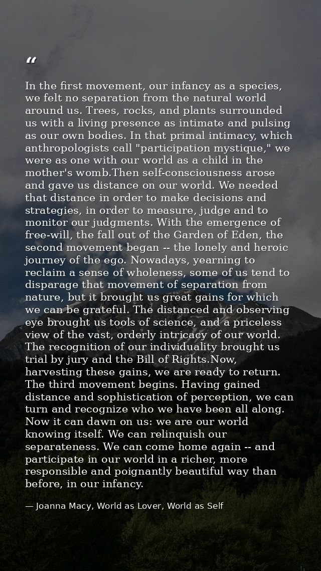 In the first movement, our infancy as a species, we felt no separation from the natural world around us. Trees, rocks, a — Joanna Macy, World as Lover, World as Self