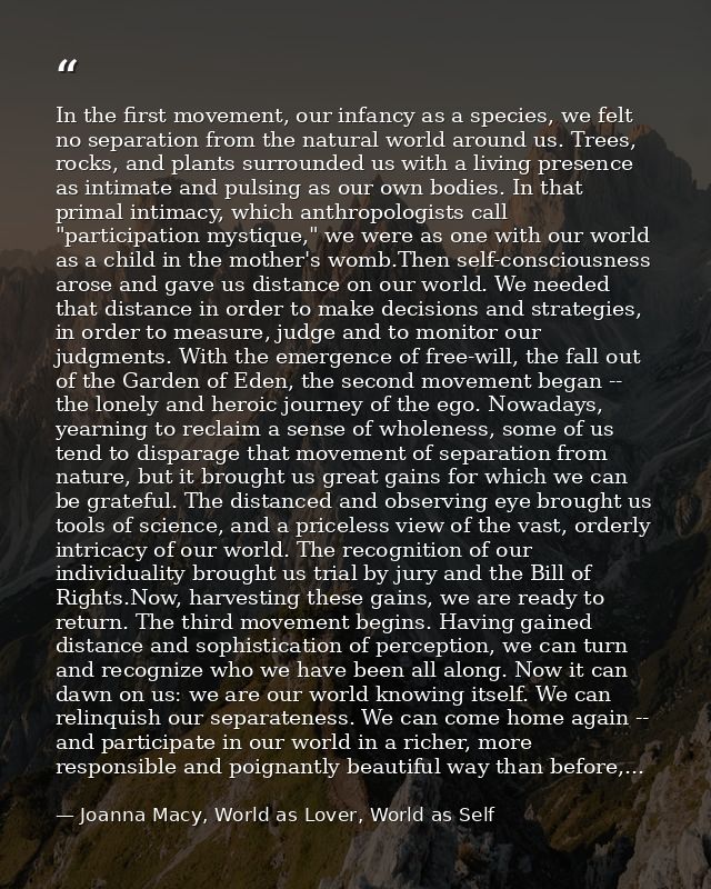 In the first movement, our infancy as a species, we felt no separation from the natural world around us. Trees, rocks, a — Joanna Macy, World as Lover, World as Self