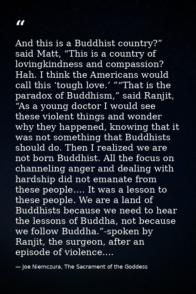 And this is a Buddhist country?” said Matt, “This is a country of lovingkindness and compassion? Hah. I think the Americ — Joe Niemczura, The Sacrament of the Goddess