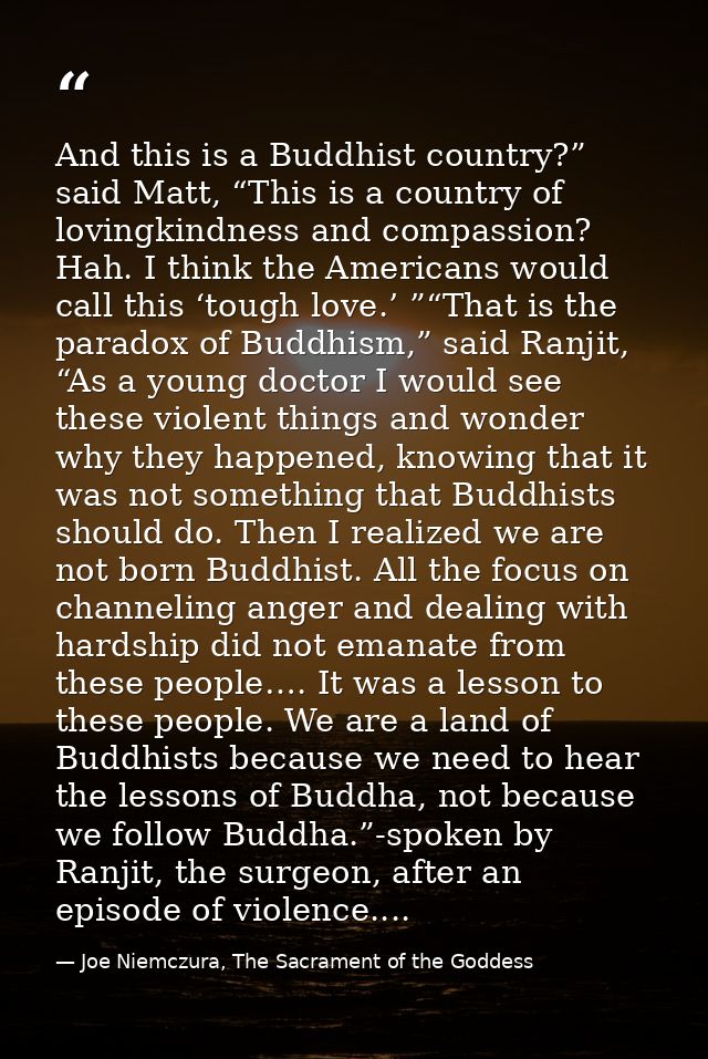 And this is a Buddhist country?” said Matt, “This is a country of lovingkindness and compassion? Hah. I think the Americ — Joe Niemczura, The Sacrament of the Goddess