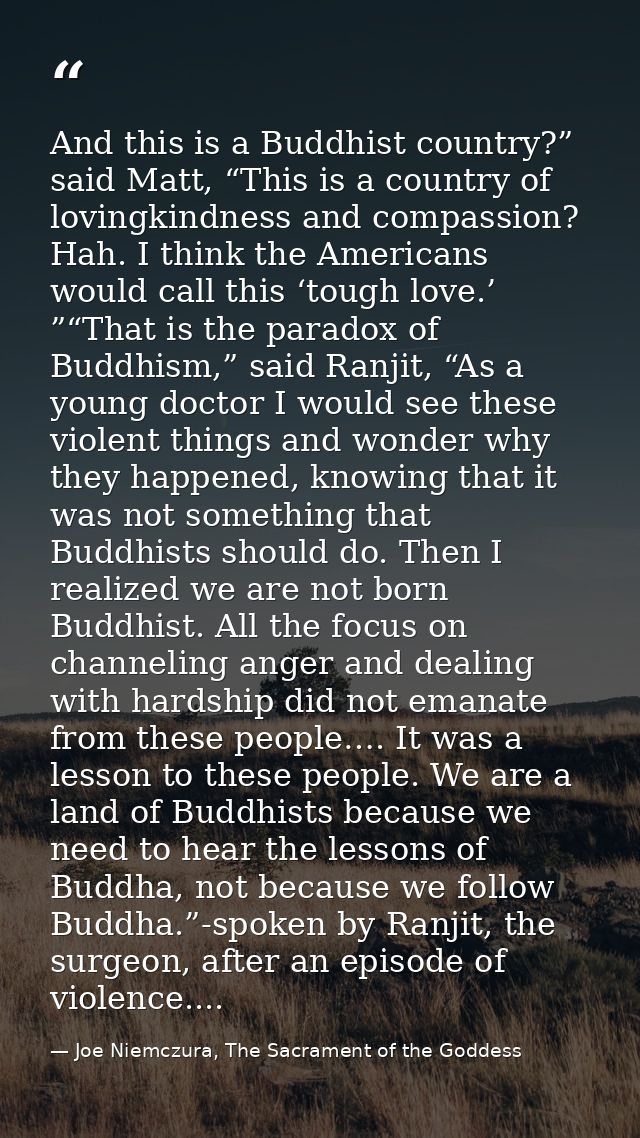 And this is a Buddhist country?” said Matt, “This is a country of lovingkindness and compassion? Hah. I think the Americ — Joe Niemczura, The Sacrament of the Goddess