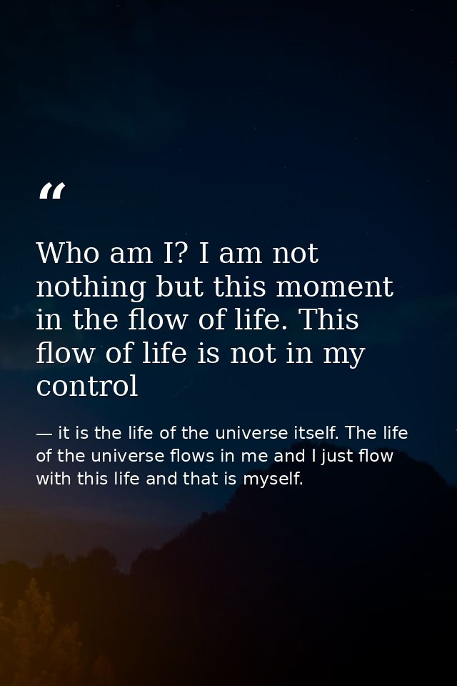Who am I? I am not nothing but this moment in the flow of life. This flow of life is not in my control — it is the life of the universe itself. The life of the universe flows in me and I just flow with this life and that is myself.