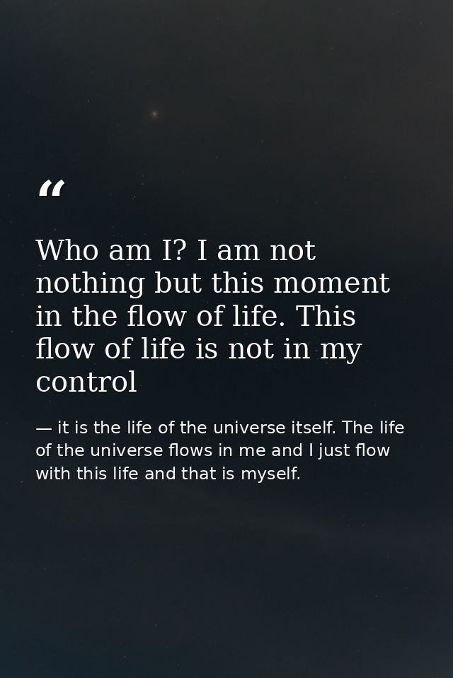 Who am I? I am not nothing but this moment in the flow of life. This flow of life is not in my control — it is the life of the universe itself. The life of the universe flows in me and I just flow with this life and that is myself.