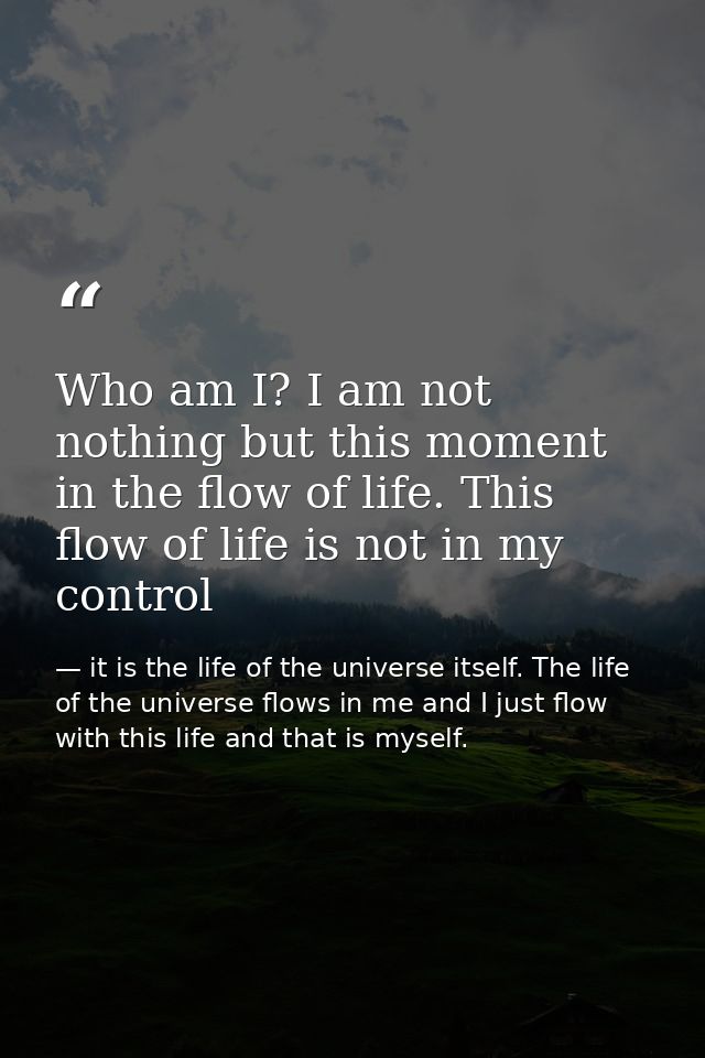Who am I? I am not nothing but this moment in the flow of life. This flow of life is not in my control — it is the life of the universe itself. The life of the universe flows in me and I just flow with this life and that is myself.