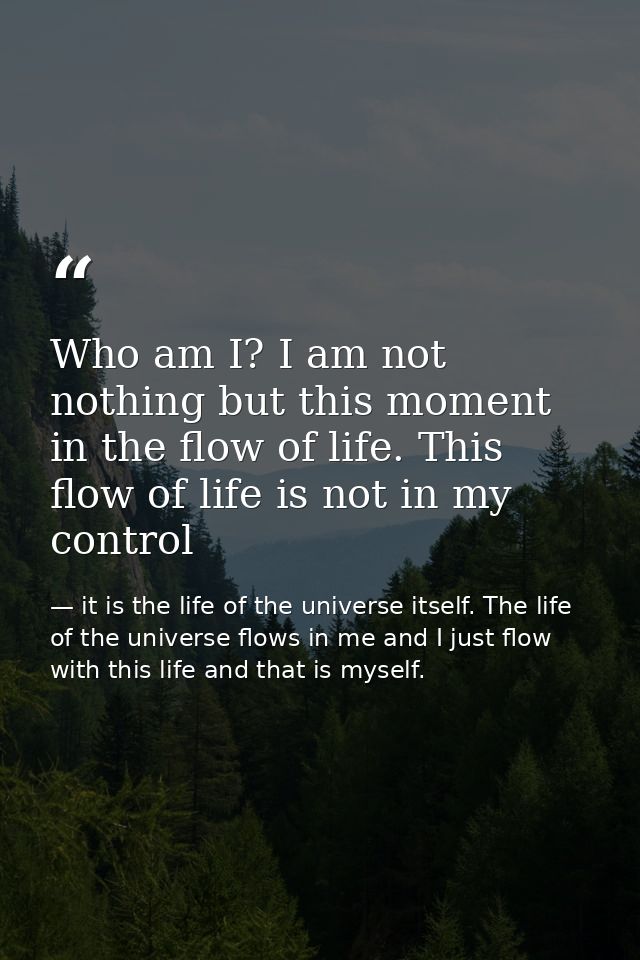 Who am I? I am not nothing but this moment in the flow of life. This flow of life is not in my control — it is the life of the universe itself. The life of the universe flows in me and I just flow with this life and that is myself.